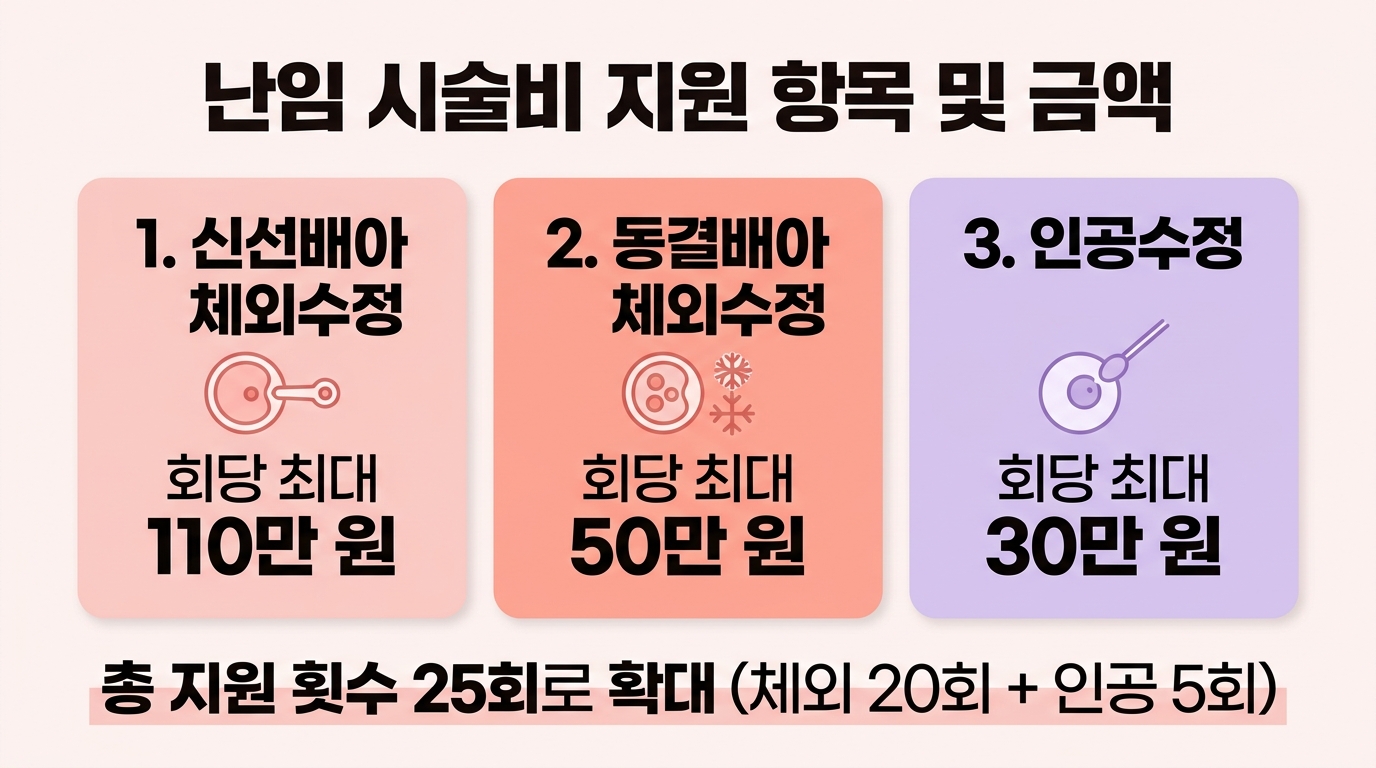 난임 시술비 지원 항목 및 금액 인포그래픽